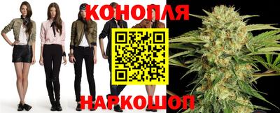 мдпв Гусев