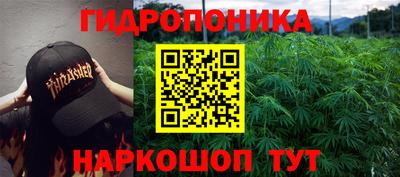 мдпв Гусев