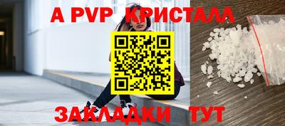 шишки Гусиноозёрск