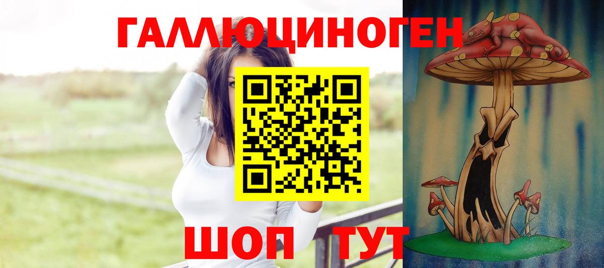 Галлюциногенные грибы мицелий Можга