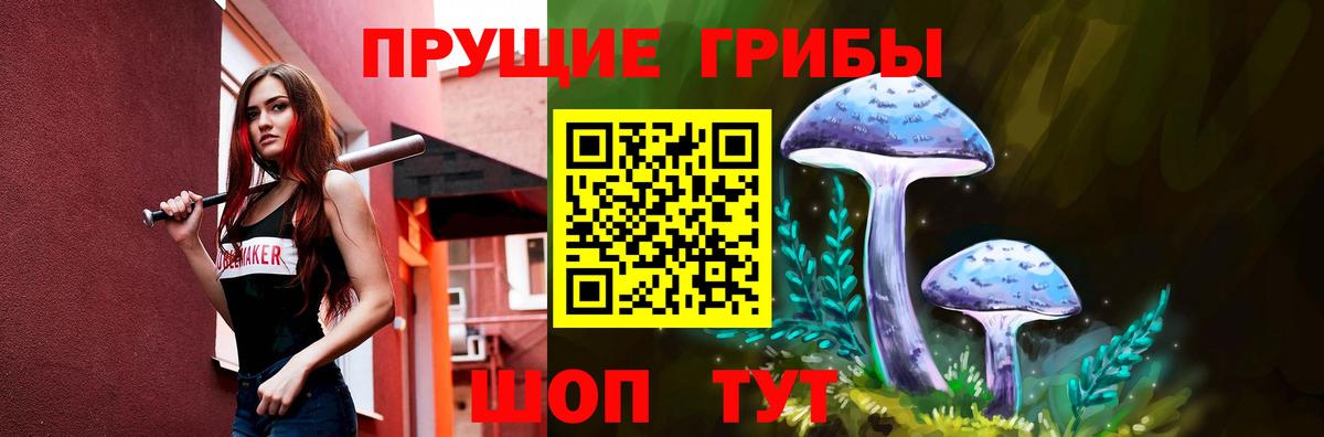 Можга  Псилоцибиновые грибы MAGIC MUSHROOMS  Вход с VPN  Галлюциногенные грибы Psilocybine cubensis 
